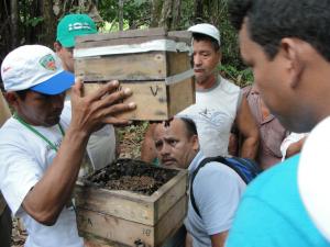 Imagem da notícia - CIAMA implementa projeto para valorizar a produção de mel de abelha no interior