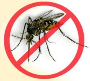 Imagem da notícia - NESTA QUINTA: CIAMA promove um Dia de Combate à Dengue