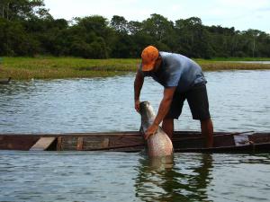 Imagem da notícia - Oficina reúne lideranças indígenas para discutir manejo de peixes no Alto Solimões