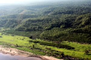 Imagem da notícia - Reunião discutirá estratégias de implantação do Polo Naval do Amazonas