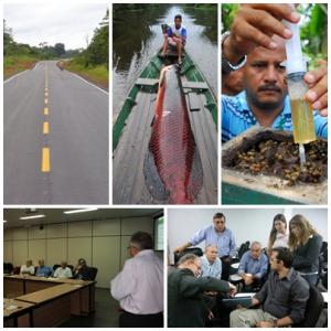 Imagem da notícia - Balanço de ações e perspectivas para 2013