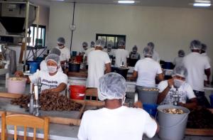 Imagem da notícia - Equipe técnica faz monitoramento de ações do Proderam, no Alto Solimões
