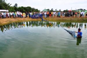 Imagem da notícia - Governo do Estado estrutura polo de piscicultura em Humaitá