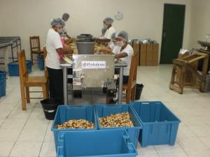 Imagem da notícia - CIAMA faz licitação para contratar empresa de consultoria para projetos do Governo do Estado