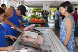 Imagem da notícia - Do produtor para o consumidor: Feirão do pescado terá 500 toneladas de peixes