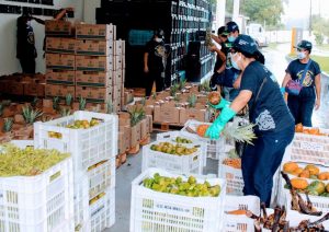 Imagem da notícia - Ciama e equipe do Programa Estadual de Combate ao Desperdício projetam o Banco de Alimentos do Amazonas