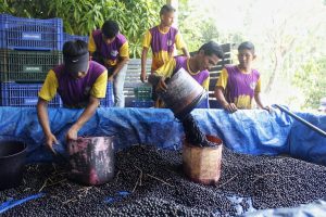 Imagem da notícia - Alunos do curso de boas práticas conhecem empreendimentos de sucesso em Humaitá