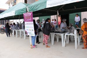 Imagem da notícia - Em Benjamin Constant, Ciama encerra curso para beneficiar a cadeia produtiva do açaí na região, com mais de 222 participantes certificados pelo Cetam