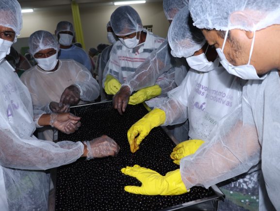 Em Alvarães, Governo do Estado capacita 40 batedores de açaí em boas práticas de manipulação do fruto
